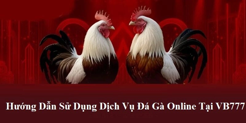 Hướng dẫn sử dụng dịch vụ Đá Gà Online tại VB777