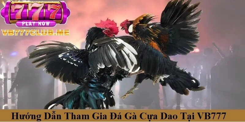 Hướng dẫn tham gia Đá Gà Cựa Dao tại VB777