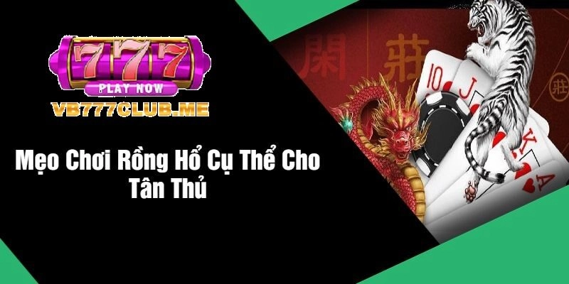 Mẹo chơi Rồng Hổ Online tại VB777